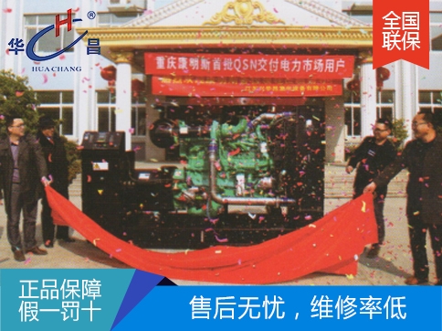 本溪350千瓦重慶康明斯發(fā)電機(jī)組