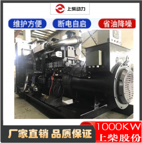 南平1000千瓦上柴發(fā)電機(jī)組